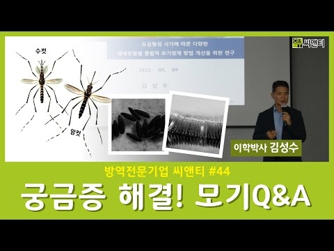 모기 Q&A