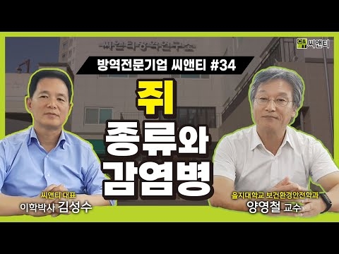 쥐 종류와 퇴치방법